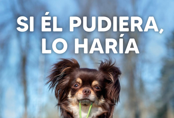 campaña de vigilancia y sensibilización para la recogida de excrementos caninos