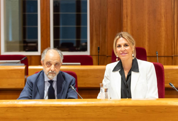 Debate de estado