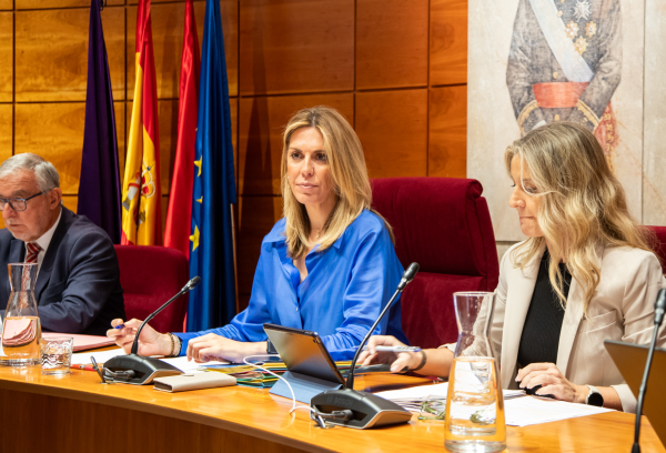Celebración plenaria del jueves 18 de septiembre de 2025