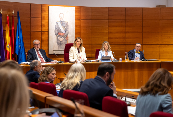 Sesión plenaria de octubre de 2025
