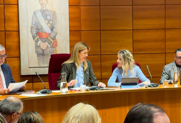 Foto del pleno extraordinario para aprobar presupuestos 2026