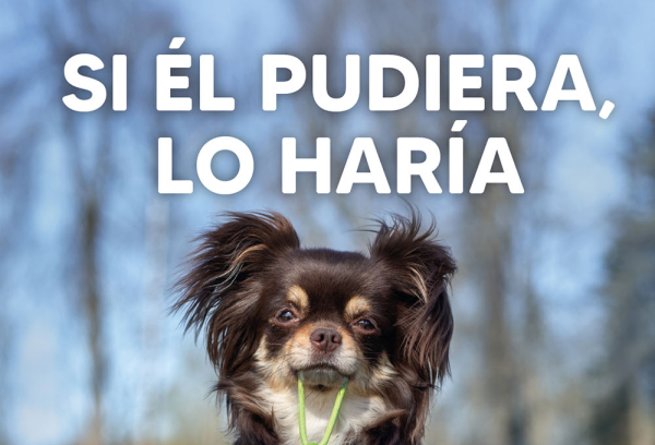 Si el pudiera lo haría