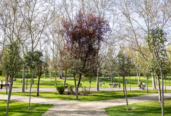 Parque de pozuelo