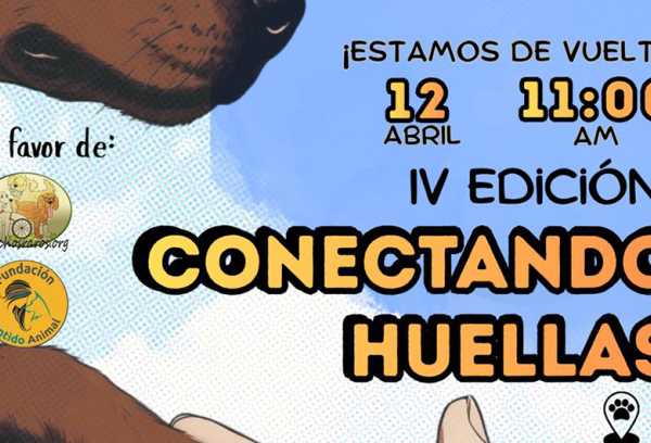 conectando con huellas cartel