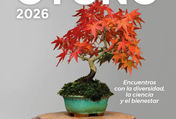 otoño en el aula