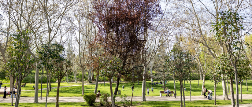 PArque de pozuelo